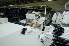 (Ảnh minh họa: Phạm Kiên/TTXVN)