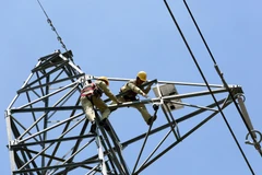 (Ảnh: Ngọc Hà/TTXVN)