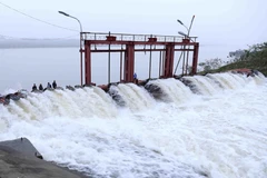 Trạm bơm Phù Sa (thị xã Sơn Tây) hoạt động hết công suất để bơm nước phục vụ đổ ải. (Ảnh: Vũ Sinh/TTXVN)