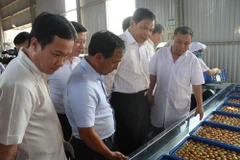 Bộ trưởng Bộ Nông nghiệp và Phát triển Nông thôn Nguyễn Xuân Cường và các đại biểu thăm nhà máy chế biến nông sản xuất khẩu Ameii Việt Nam tại xã Thanh Xá, huyện Thanh Hà. (Ảnh: Mạnh Minh/TTXVN)