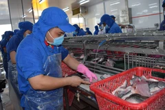 Quy trình sản xuất tại một cơ sở chế biến thủy sản của tỉnh Đồng Tháp. (Ảnh: Chương Đài/TTXVN)