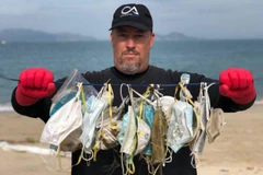 Ông Gary Stokes, người sáng lập nhóm môi trường OceansAsia, với những chiếc khẩu trang bị thải bỏ mà nhóm của ông tìm thấy trên một bãi biển ở quần đảo Soko của Hong Kong. (Nguồn: straitstimes.com