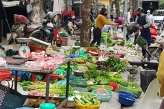 Hàng hóa tại các chợ dân sinh rất dồi dào. (Ảnh: Phương Anh/TTXVN)