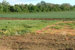 Thủ tướng đồng ý chuyển đổi mục đích sử dụng đất tại tỉnh Phú Thọ