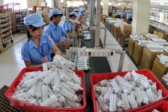 Dây chuyền sản xuất bóng đèn compact tại Công ty Cổ phần Bóng đèn Điện Quang. (Ảnh: An Hiếu/TTXVN)