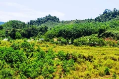 Thủ tướng chấp thuận chuyển mục đích sử dụng đất tại tỉnh Phú Yên