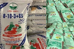 Đắk Nông: Phạt doanh nghiệp làm phân bón giả 115 triệu đồng 