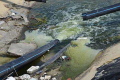 Ảnh minh họa. (Nguồn: TTXVN)