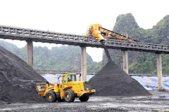 Nhu cầu than cho nhiệt điện dự báo sẽ tiếp tục tăng cao trong năm 2020. (Ảnh: Huy Hùng/TTXVN)