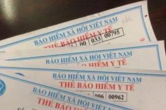 Thông tin khai sinh và cấp thẻ bảo hiểm y tế cho trẻ em sẽ được liên thông với nhau. (Ảnh: PV/Vietnam+)