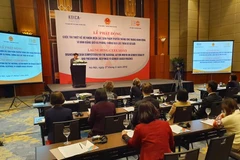 Lễ phát động Cuộc thi thiết kế Bộ nhận diện cho Tháng hành động về bình đẳng giới và phòng, chống bạo lực trên cơ sở giới. (Ảnh: Nguyễn Linh/Vietnam+)