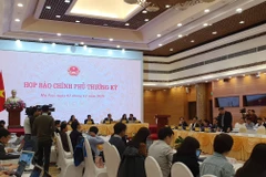 Đại diện Bộ Công an trả lời câu hỏi của phóng viên tại Họp báo Chính phủ thường kỳ tháng 11. (Ảnh: PV/Vietnam+)