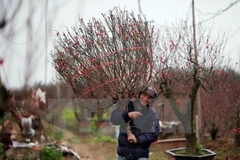 Người lao động mong muốn có kỳ nghỉ Tết dài để về quê. (Ảnh minh họa)