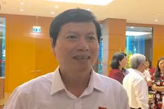 Ông Trần Đăng Ninh, Phó Bí thư Thường trực Tỉnh ủy, Chủ tịch Hội đồng nhân dân tỉnh Hòa Bình. (Ảnh: PV/Vietnam+)