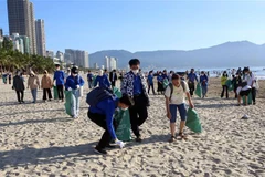 Các tình nguyện viên tham gia nhặt rác, dọn vệ sinh môi trường trên bãi biển Đà Nẵng. (Ảnh: Trần Lê Lâm/TTXVN)