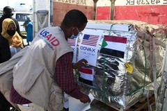 Nhân viên chuyển lô vaccine ngừa COVID-19 được viện trợ theo chương trình COVAX tại Khartoum, Sudan. (Ảnh: AFP/TTXVN)