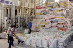 Hạn ngách xuất khẩu đối với mặt hàng gạo trong tháng Tư là 400.000 tấn. (Ảnh: TTXVN)