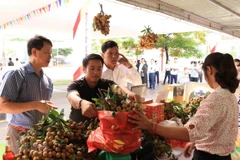 Người dân mua nhãn lồng Hưng Yên. (Ảnh: Đinh Tuấn/TTXVN)