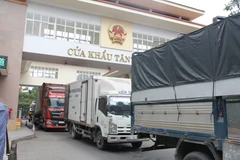Trao đổi hàng hóa qua cửa khẩu Tân Thanh, tỉnh Lạng Sơn. (Ảnh: Đức Duy/Vietnam+)