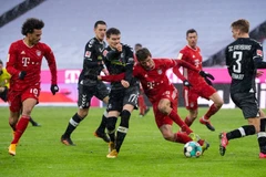 Bundesliga: Nhận diện "hiện tượng" SC Freiburg - đối thủ của FC Bayern