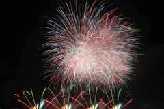 Khai mạc Cuộc thi trình diễn pháo hoa quốc tế 2015 tại Đà Nẵng