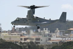 Máy bay MV-22 Osprey hạ cánh tại Căn cứ không quân Futenma ở thành phố Ginowan, tỉnh Okinawa. (Nguồn: Kyodo/TTXVN)