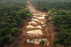 Guyana khai thác vàng tại khu vực tranh chấp với Venezuela