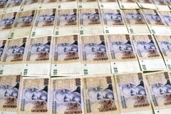 Argentina tiếp tục phát hành trái phiếu Kho bạc Nhà nước