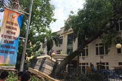 Tổ chức khắc phục hậu quả sự cố cây cổ thụ đổ, đè vào tòa nhà Viện Kiểm nghiệm thuốc Trung ương (Bộ Y tế). (Ảnh: Hải Anh/TTXVN) 