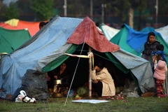 Đại sứ quán Việt Nam tại Ấn Độ cử đoàn sang Nepal hỗ trợ công dân