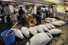 Hàn Quốc cân nhắc bỏ lệnh cấm nhập khẩu hải sản từ Nhật Bản