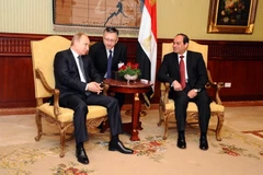 Nga giúp Ai Cập xây dựng nhà máy điện hạt nhân đầu tiên