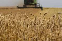 Ảnh minh họa. (Nguồn: RIA Novosti)