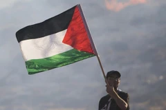 Ảnh minh họa. (Nguồn: AP)