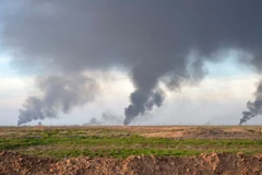 Tình báo Đức: Nhóm IS chỉ còn kiểm soát một mỏ dầu tại Iraq