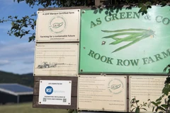 Nông trang AS Green & Co. (Nguồn: Getty Images)