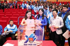 Các đại biểu bầu Ban Chấp hành Trung ương Đoàn khóa XII. (Ảnh: Phạm Kiên/TTXVN)