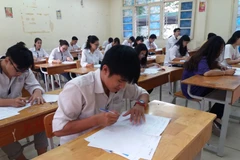 (Ảnh minh họa: PM/Vietnam+)