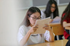 (Ảnh minh họa: PV/Vietnam+)