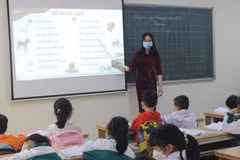 Học sinh Trường Tiểu học Phạm Tu (huyện Thanh Trì, Hà Nội) đi học trở lại. (Ảnh: Minh Anh/Vietnam+)