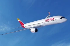 Ảnh minh họa. (Nguồn: Airbus)