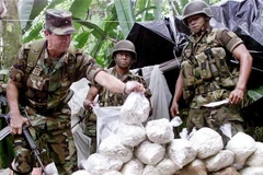 Colombia bắt giữ 72 thành viên của mạng lưới Clan Usuga 