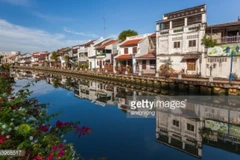 Người chặt cây trái phép ở Malaysia sẽ bị pháp luật truy tố