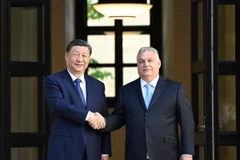 Chủ tịch Trung Quốc Tập Cận Bình (trái) và Thủ tướng Hungary Viktor Orban trong cuộc gặp ở Budapest ngày 9/5. (Ảnh: THX/TTXVN)