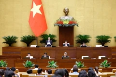 Phó Chủ tịch Quốc hội Nguyễn Đức Hải điều hành phiên họp. (Ảnh: Doãn Tấn/TTXVN)