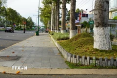 Ảnh minh họa. (Nguồn: TTXVN)