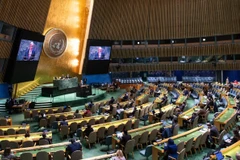 Toàn cảnh một phiên họp Đại hội đồng Liên hợp quốc. (Ảnh: THX/TTXVN)