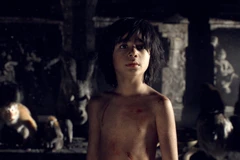 Tác phẩm" The Jungle Book" sắp đạt ngưỡng 1 tỷ USD. (Nguồn ảnh: CGV)