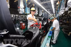 Dây chuyền lắp ráp xe ôtô tại Công ty Honda Việt Nam tại Vĩnh Phúc. (Ảnh: Danh Lam/TTXVN)
