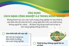 [Infographics] Ứng dụng Cách mạng công nghiệp 4.0 trong nông nghiệp